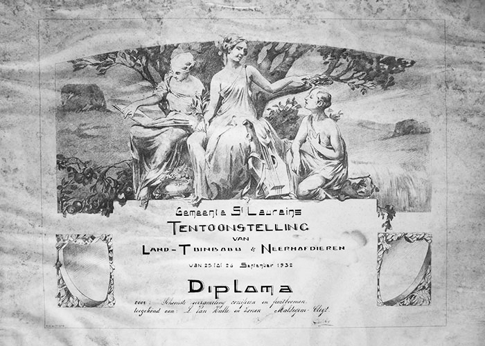 diploma